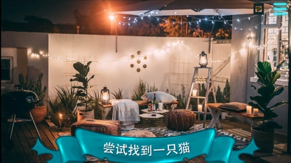 寻找猫21