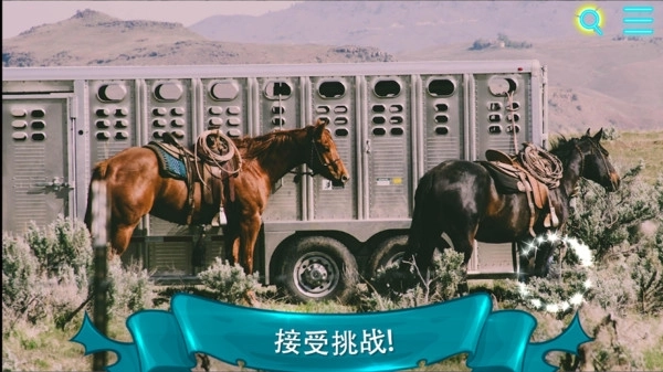 寻找猫22
