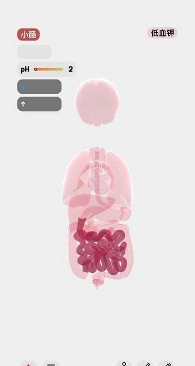 生命模拟器life最新版2