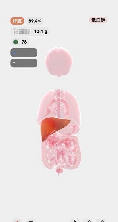 生命模拟器life最新版3