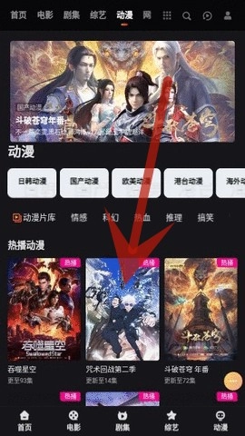 大向动漫app下载