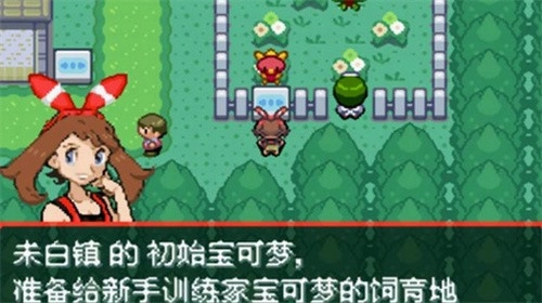 宝可梦究极绿宝石解限版1