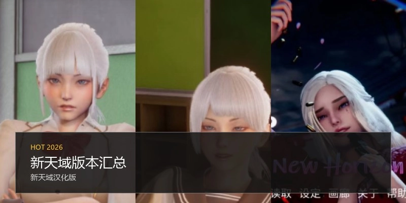 新天域版本汇总