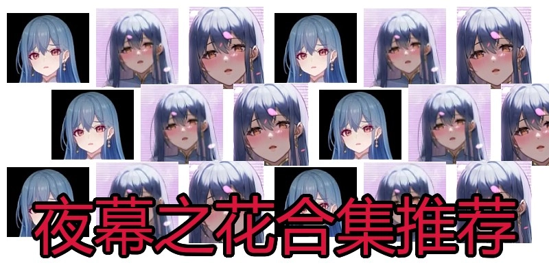 夜幕之花合集推荐