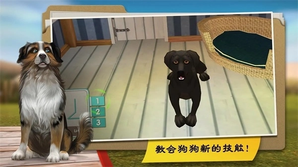 我的寄宿狗屋2