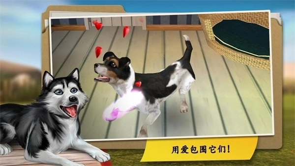 我的寄宿狗屋3
