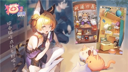 猫灵相册3