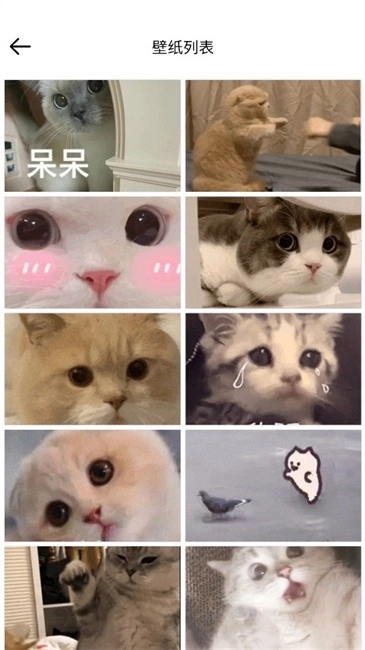 壁纸集3