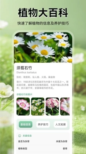 花团锦绣拾光