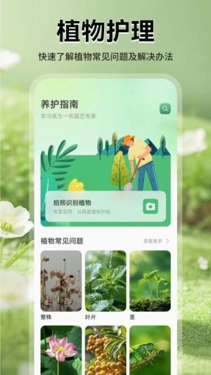 花团锦绣拾光