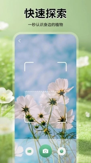 花团锦绣拾光