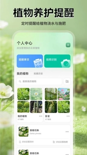 花团锦绣拾光