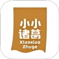 小小诸葛