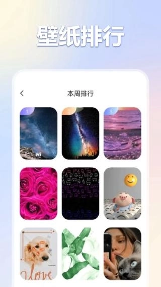 彩虹喵pro1