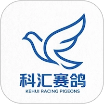 科汇赛鸽