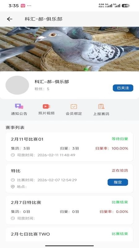 科汇赛鸽2
