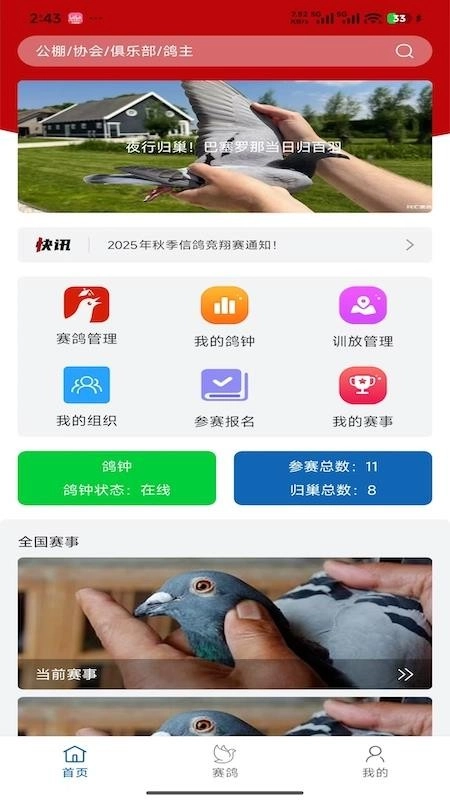 科汇赛鸽4