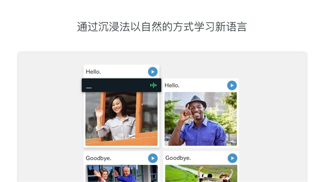 罗塞塔石碑英语软件