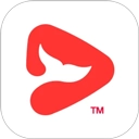 锦书在线App