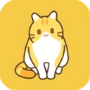 领养一只流浪猫版