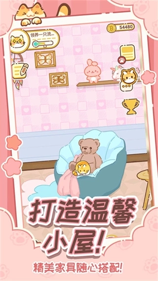 领养一只流浪猫版1