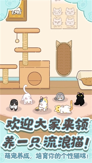 领养一只流浪猫版3