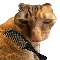 Brush Jjaemu