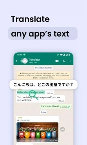 瞬译屏幕翻译2