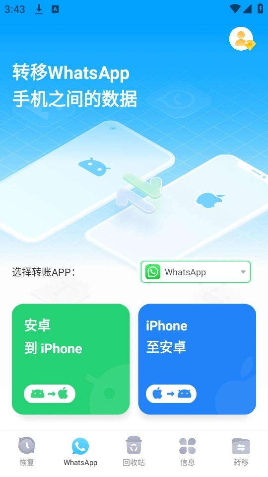 丰博士
