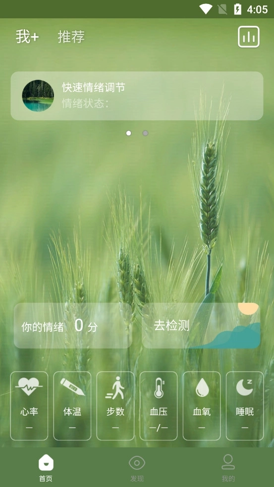 麦节4