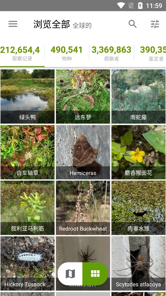 iNaturalist安卓版5
