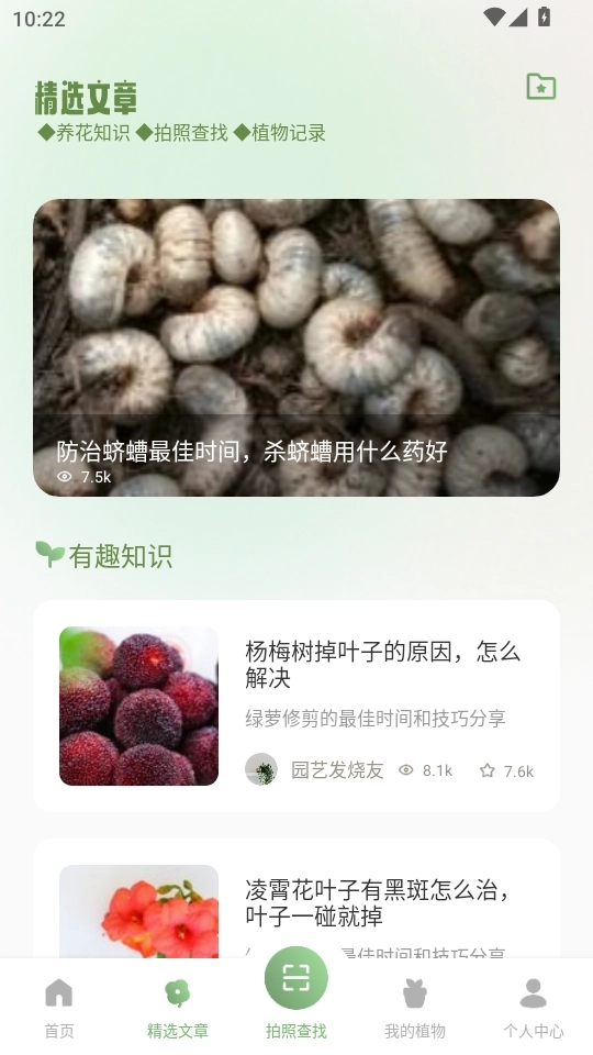 点点花开2