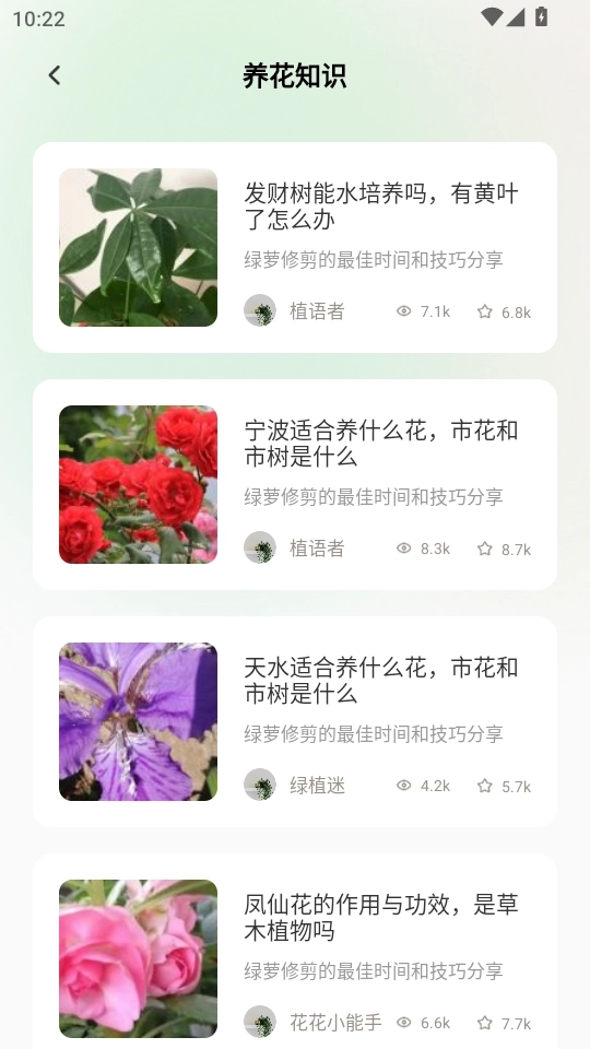 点点花开4