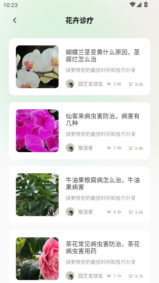 点点花开5