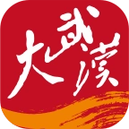 大武汉安卓版
