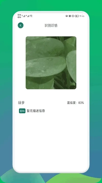 小园丁追剧免费正版