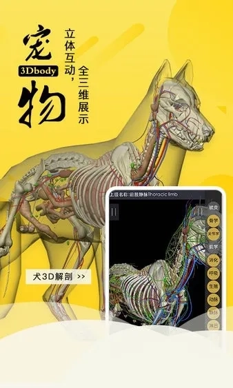 3dbody宠物最新  手机版3