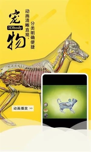 3dbody宠物最新  手机版5