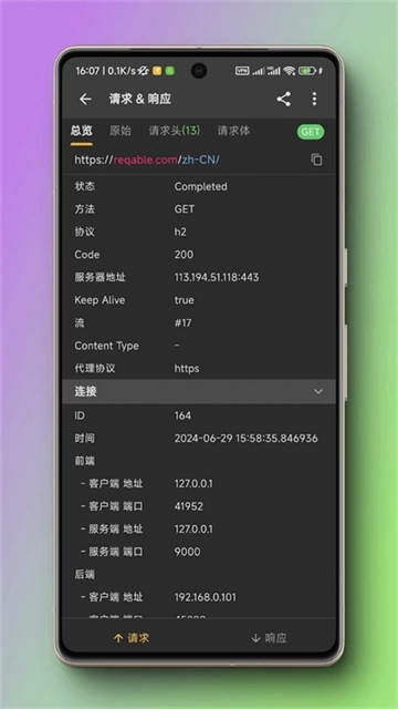 蓝鸟抓包正版1