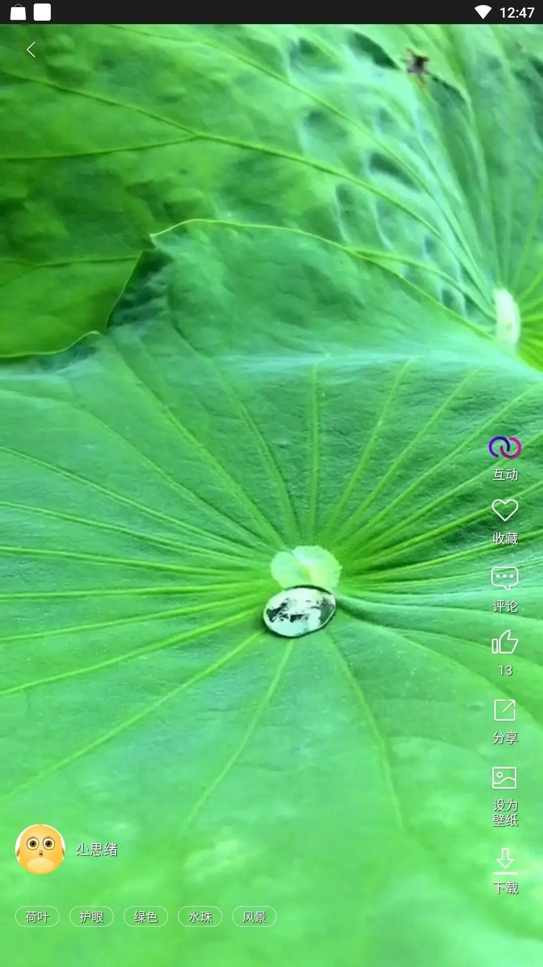 炫彩壁纸秀正版安装下载