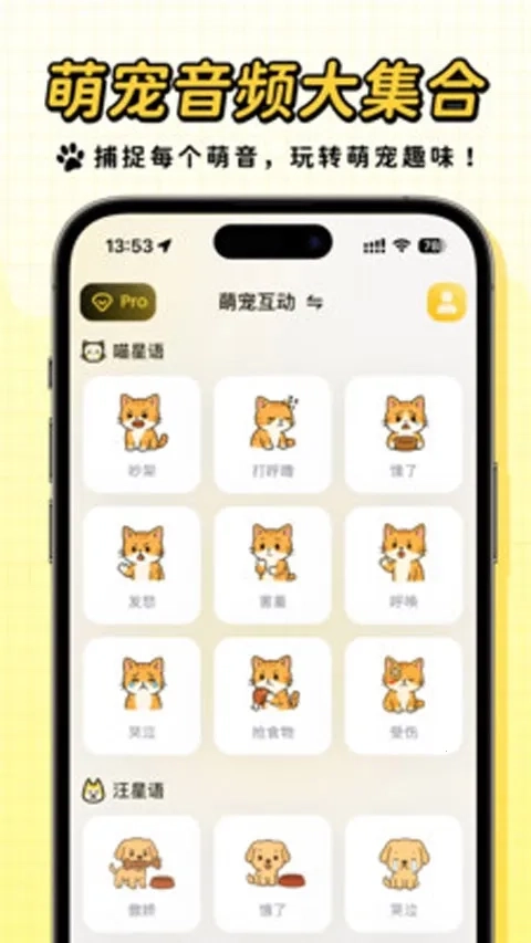 宠玩  安卓版5