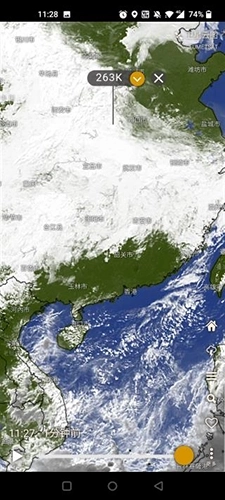 Windy安卓版