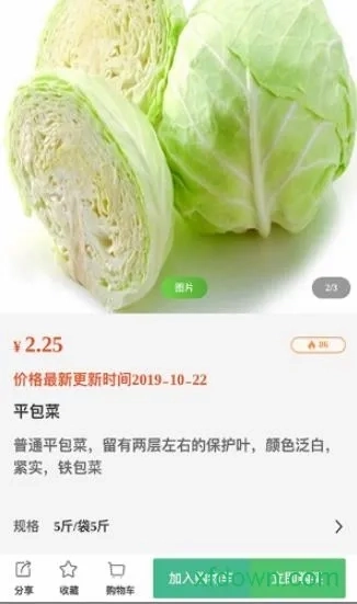 橘子采购最新版5