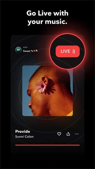 TIDAL正版1