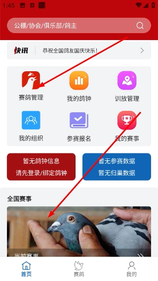 科汇赛鸽app下载