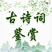 古诗词鉴赏绿色版