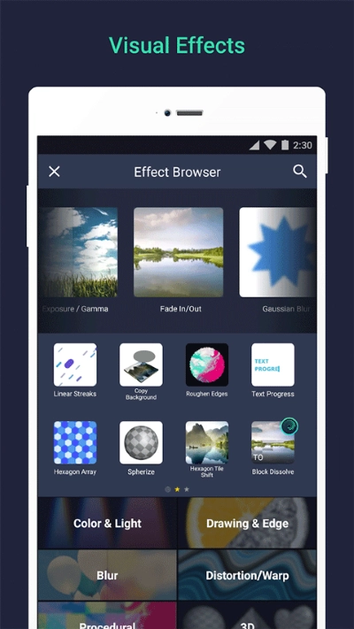alightmotion正版2