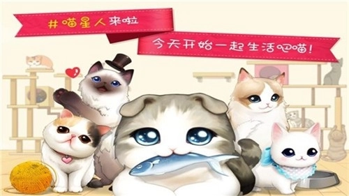 猫猫咖啡屋1