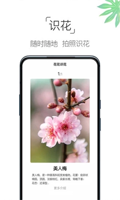 养花大全安装 2