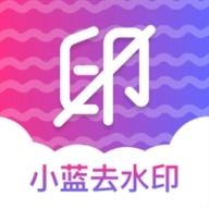 小蓝去水印安卓版